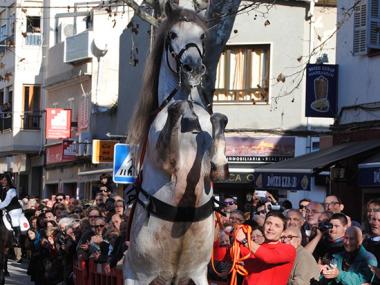 RESULTATS BENEÏDES SANT ANTONI 2015