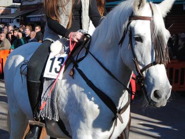 RESULTATS BENEÏDES SANT ANTONI 2015