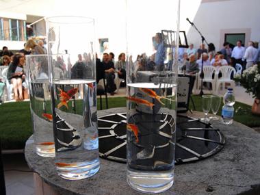 PREMIS CIUTAT DE MANACOR 2015