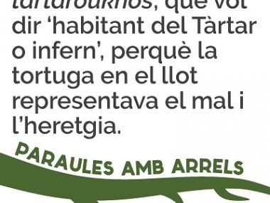 Tortuga