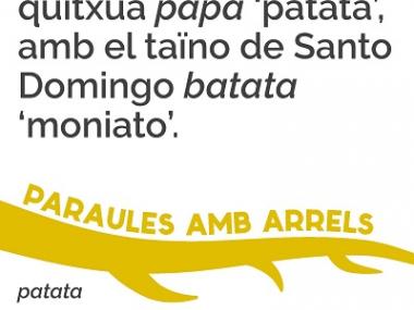 Patata