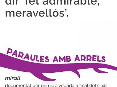 Mirall