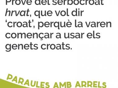 Corbata