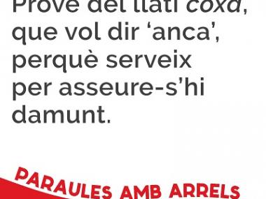Coixí
