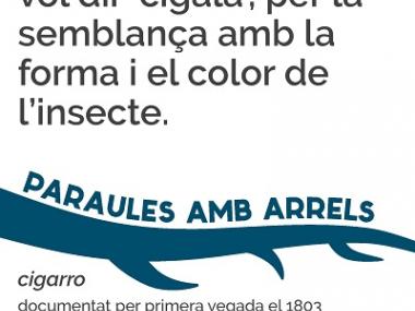 Cigarro