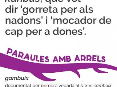 Cambuix