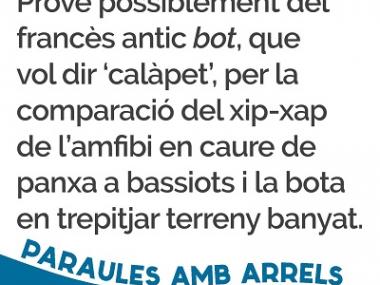 Bota