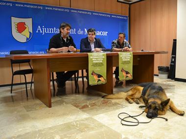 Manacor acollirà aquest diumenge el Certamen Internacional Reial CEPPA i els admiradors dels cans de raça pastor alemany