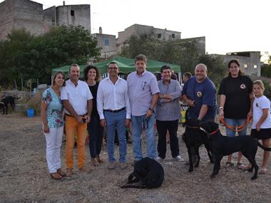 La XXXII Fira de Son Macià mostra la potència ramadera que es concentra en els seus camps i la millor artesania local