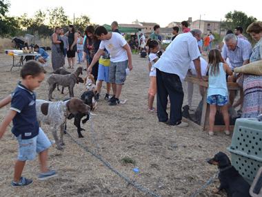 La XXXII Fira de Son Macià mostra la potència ramadera que es concentra en els seus camps i la millor artesania local
