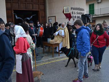 Les beneïdes de Son Macià se celebren desafiant el mal temps i fan seves les arrels pageses d'aquest nucli manacorí