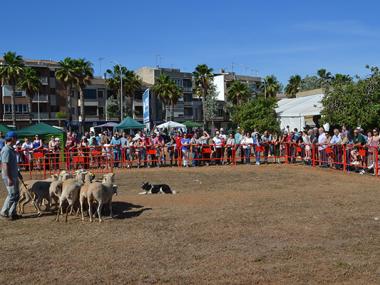 La XXVI Fira Agrícola, ramadera, industrial i artesana mostra la capitalitat comarcal de Manacor als carrers