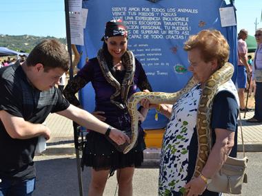 La XXVI Fira Agrícola, ramadera, industrial i artesana mostra la capitalitat comarcal de Manacor als carrers