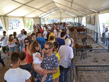 La XXVI Fira Agrícola, ramadera, industrial i artesana mostra la capitalitat comarcal de Manacor als carrers