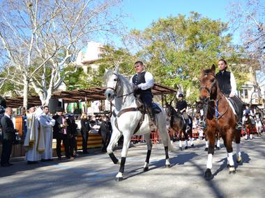 Una gentada participa a les beneïdes de Manacor per honorar Sant Antoni i reivindicar les arrels pageses del municipi