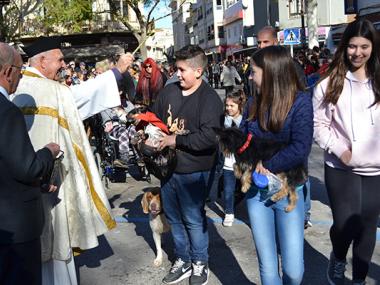 Una gentada participa a les beneïdes de Manacor per honorar Sant Antoni i reivindicar les arrels pageses del municipi