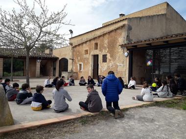 Els consellers i conselleres del Consell d’Infants de Manacor preparen el seu primer ple com a representants públics