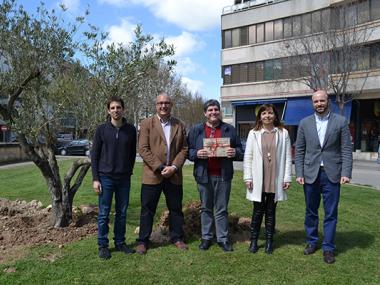 Una olivera de 25 anys recorda que fa un quart de segle que el municipi de Manacor manté el repte de gestionar bé els residus 