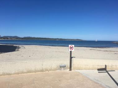 L’Ajuntament recorda que les platges urbanes del municipi són un espai públic no apte per als animals de companyia