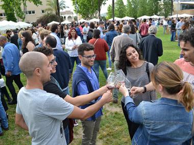 El XV Tast de vins de la DO Pla i Llevant de Fires i Festes du la millor oferta dels cellers de la comarca al Parc Municipal