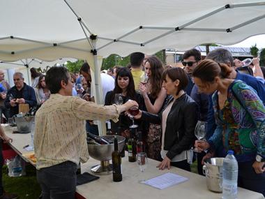 El XV Tast de vins de la DO Pla i Llevant de Fires i Festes du la millor oferta dels cellers de la comarca al Parc Municipal