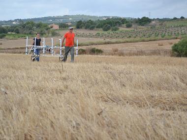 Els arqueòlegs treballen amb la hipòtesi que va existir una granja romana anterior a la basílica de Son Peretó