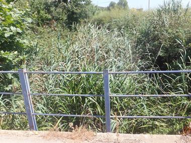 Manacor demana al Govern que netegi els torrents més bruts per evitar els mals que provoquen les torrentades