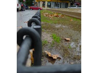 MILLORES EN ELS ENJARDINAMENTS DE LA PLAÇA DE RAMÓN LLULL