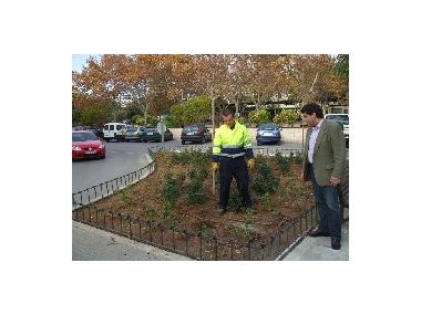 MILLORES EN ELS ENJARDINAMENTS DE LA PLAÇA DE RAMÓN LLULL