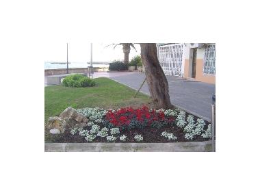 EL VERD URBÀ DE MANACOR ES VESTEIX DELS COLORS DE L’HIVERN