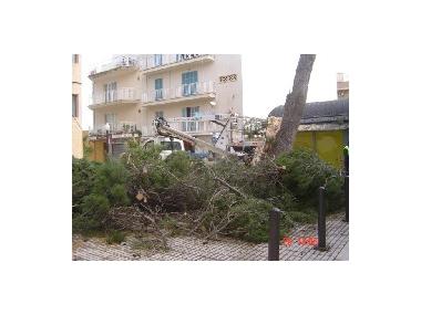 BALANÇ DEL TEMPORAL DE VENT.