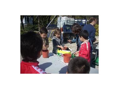ESCOLARS DE MANACOR CELEBREN EL DIA MUNDIAL DE L’ARBRE.