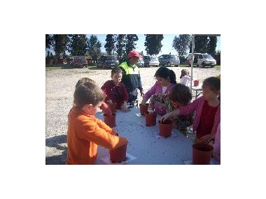 ESCOLARS DE MANACOR CELEBREN EL DIA MUNDIAL DE L’ARBRE.