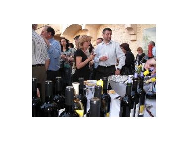 FIRES I FESTES 2009. V TASTADA DE VINS