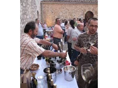 FIRES I FESTES 2009. V TASTADA DE VINS