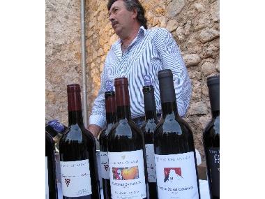 FIRES I FESTES 2009. V TASTADA DE VINS