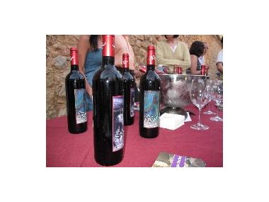 FIRES I FESTES 2009. V TASTADA DE VINS