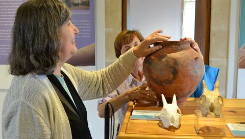 El butlletí del Museu Arqueològic Nacional es fa ressò del projecte d’accessibilitat del Museu de Manacor