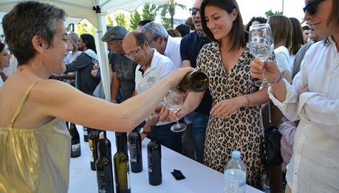 XVI TAST DE VINS DEL PLA I LLEVANT