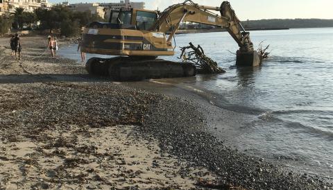 RETIRA DOS ARBRES SUBMERGITS A LA PLATJA DE S’ILLOT