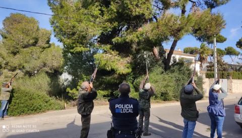 Batuda contra la processionària per part de l'Associació de Caçadors de Manacor. 