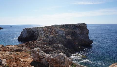 El jaciment de sa Ferradura, a Porto Cristo. 