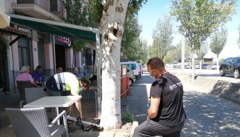 Tècnics fent l'avaluació dels arbres. 