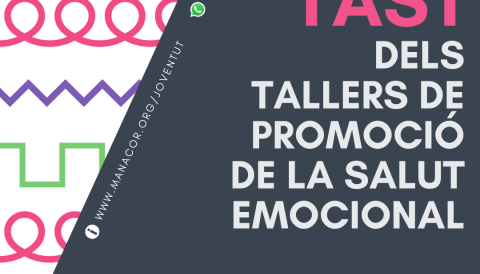 Tast de tallers de Promoció de la salut emocional. 