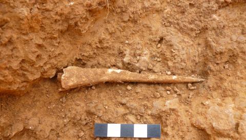 Punxó localitzat al jaciment de sa Ferradura durant la desena campanya d'excavació. 