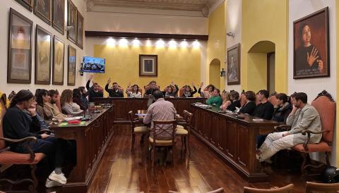 Ple municipal extraordinari de novembre. 