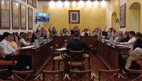 Votació de la incorporació del romanent municipal al Ple de dia 14 d'abril de 2025. 