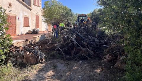 Neteja a la primera línia de Cala Morlanda. 