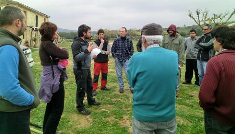 TALLER DE PODA A MANACOR