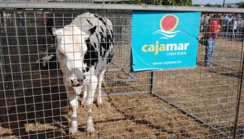 MILERS DE PARTICIPANTS A LA FIRA AGRÍCOLA, RAMADERA, ARTESANAL I INDUSTRIAL DE MANACOR
